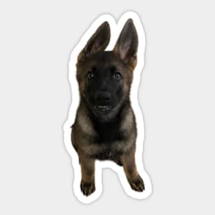 Koda Sticker